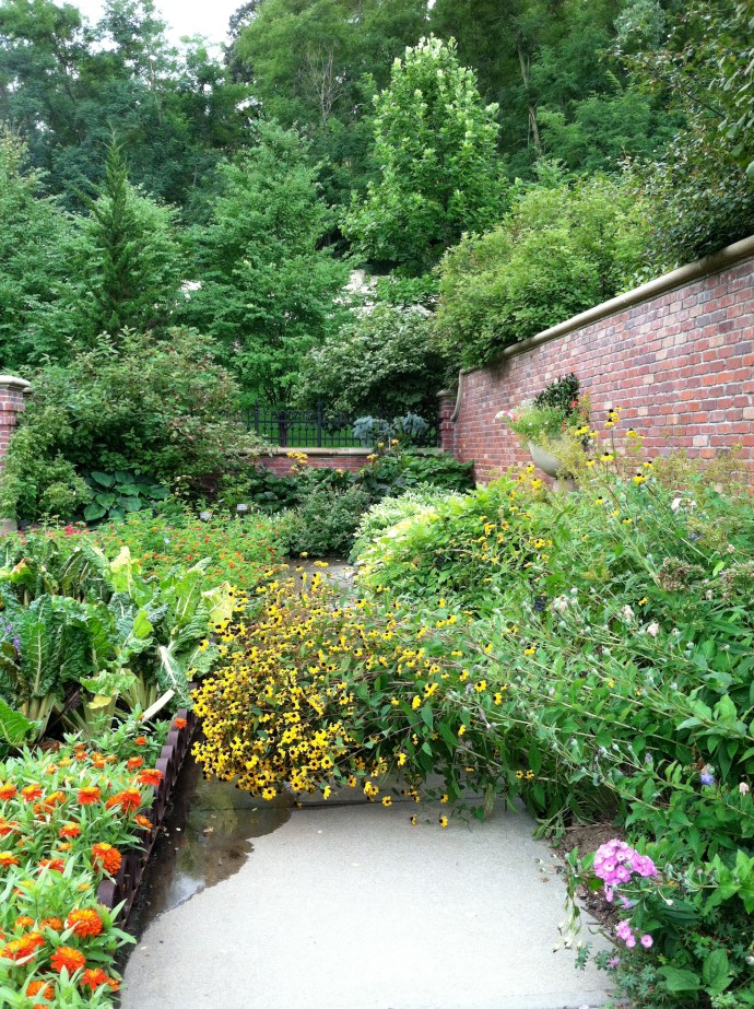 Path obstructed by flowers
