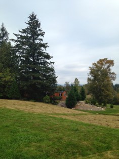 A Cabin In the Woods