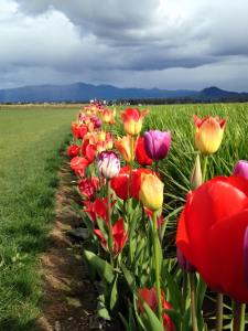 11018347_10152707644827407_1471778840516080410_n